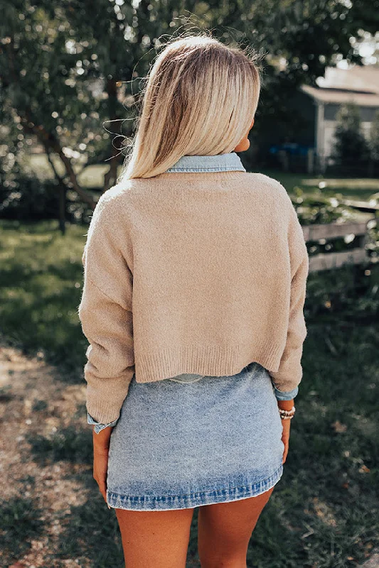 pair-with-a-smile-crop-sweater-in-warm-taupe